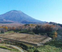ニセコ地区 近藤中央工区区画整理工事